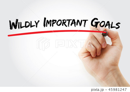 WIG - Wildly Important Goals acronym 45981247