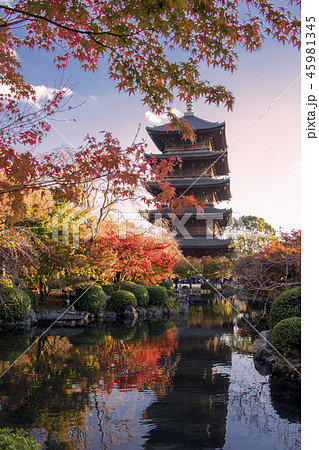 東寺―秋の京都 池鏡に写る五重塔よ紅葉 東寺―秋の京都 池鏡に写る五重塔よ紅葉 45981345