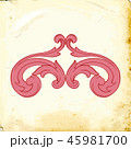 Vector baroque of vintage elements for design.  45981700