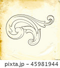 Vector baroque of vintage elements for design.  45981944