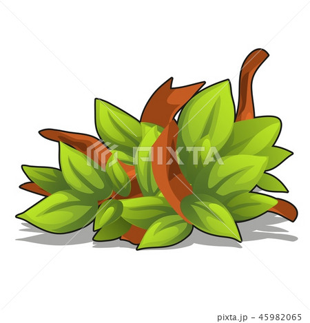 The decor of the leaves of the tree isolated on white background. Vector cartoon close-up The decor of the leaves of the tree isolated on white background. Vector cartoon close-up 45982065