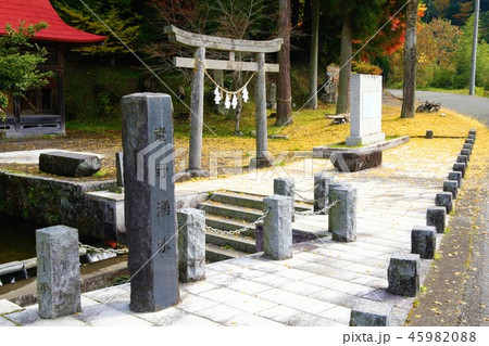 老野湧水 45982088