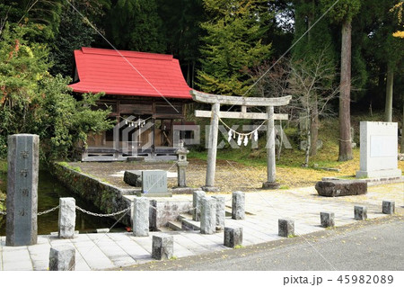 老野湧水 45982089