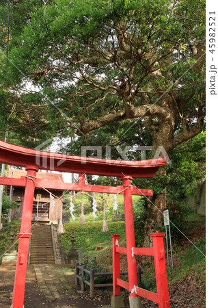 厳島神社(君津市内箕輪) 45982521