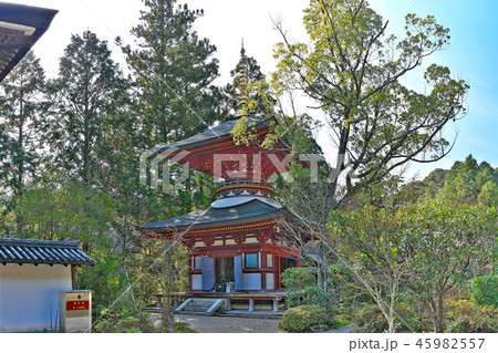 【円成寺 多宝塔】 (高解像度版) 奈良県奈良市忍辱山町 45982557