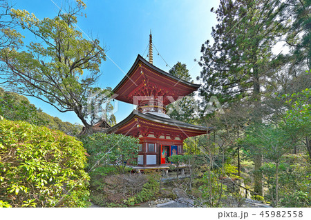【円成寺 多宝塔】 (高解像度版) 奈良県奈良市忍辱山町 45982558