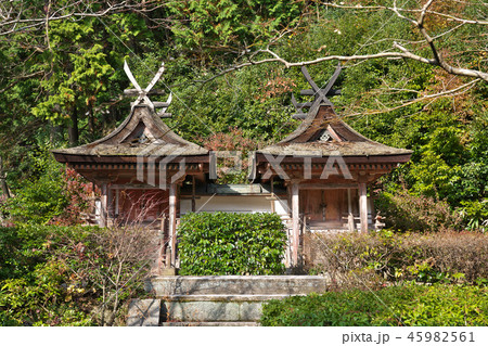 【円成寺 春日堂 白山堂】 奈良県奈良市忍辱山町 45982561