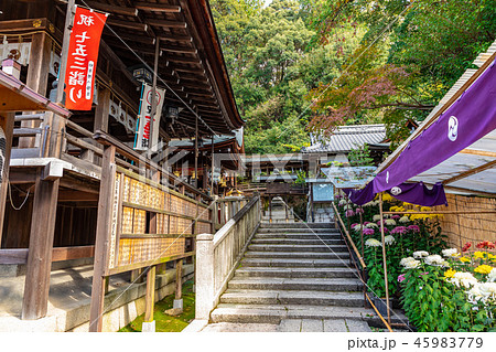 拝殿から本殿への石段 日牟禮八幡宮 45983779