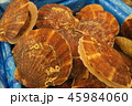 ホタテ 45984060