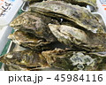 牡蠣 45984116