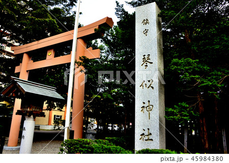 札幌市琴似神社の鳥居と社名碑 45984380