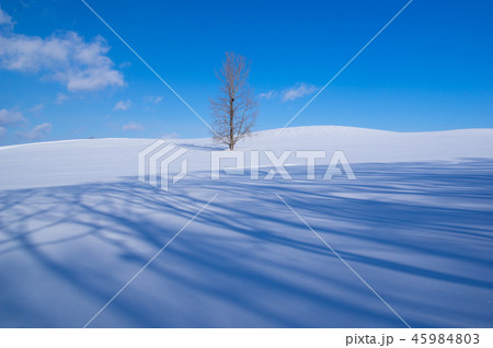 青い雪影 青い雪影 45984803