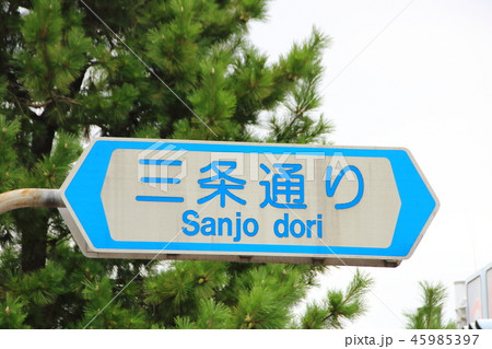 道路標識(案内標識)「道路の通称名」 道路標識(案内標識)「道路の通称名」 45985397