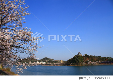 春の犬山市 都市風景 春の犬山市 都市風景 45985411