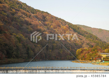 京都嵐山 45985784