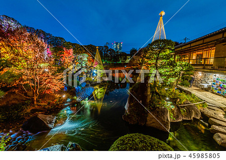 目白庭園　秋の庭園ライトアップ 45985805