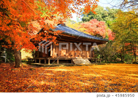 富貴寺 富貴寺 45985950