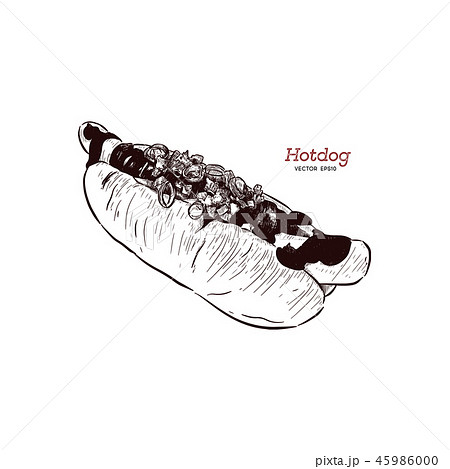hot dog, sketch, vector drawing, fast food 45986000