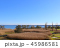 霞ヶ浦　水郷公園の秋 45986581