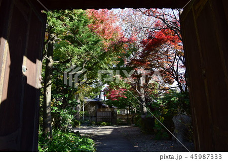 東京都 杉並区 東運寺 45987333