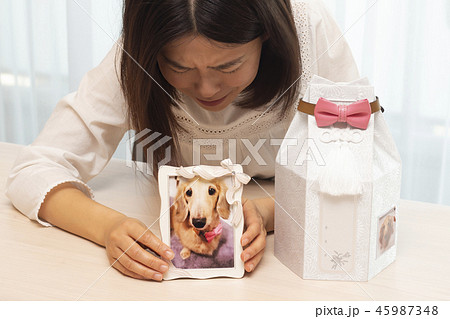 ペットロス ペットロス 45987348