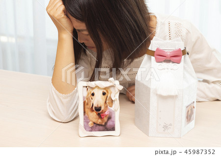 ペットロス ペットロス 45987352