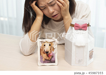 ペットロス ペットロス 45987355
