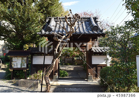 東京都 杉並区 方南 東運寺 山門 45987366