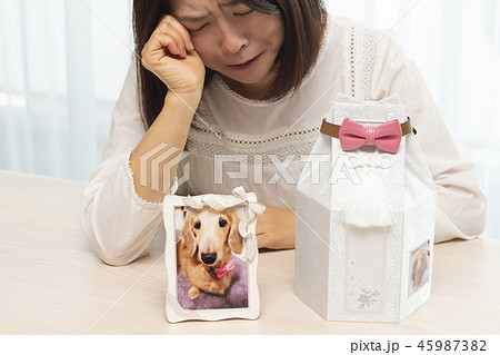 ペットロス ペットロス 45987382