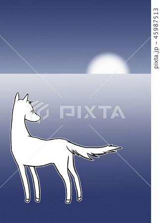 砂漠の馬 45987513