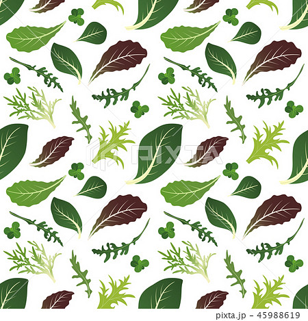 Mix of salad leaves. Arugula, spinach, lettuce leaf, watercress and radicchio. Seamless pattern 45988619