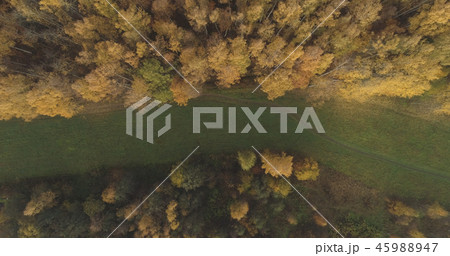 Aerial top view over field and autumn forest in the morning Aerial top view over field and autumn forest in the morning 45988947