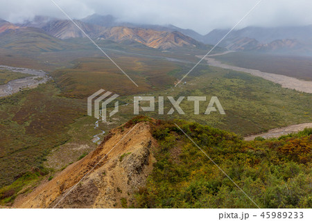 Denali National Park Alaska Landscape Denali National Park Alaska Landscape 45989233