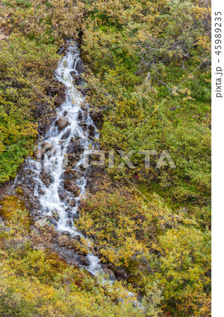 Denali National Park Alaska Landscape 45989235