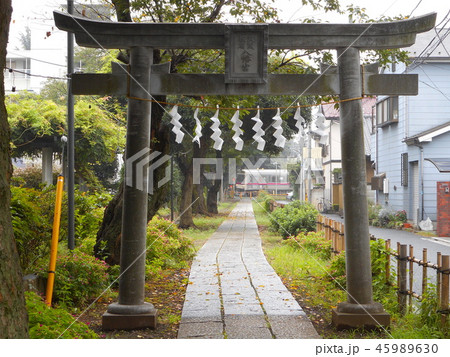 武蔵国府八幡宮の鳥居と京王競馬場線 45989630