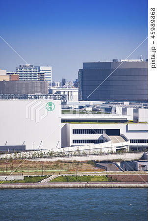 【豊洲市場　水産棟】 45989868
