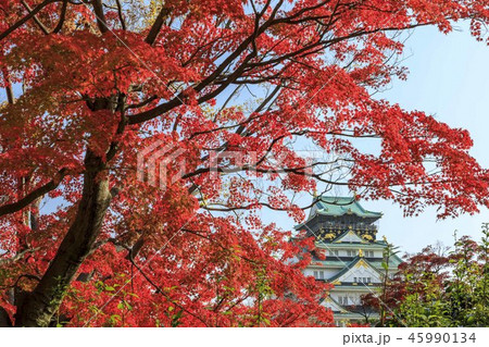 大阪城公園　紅葉 45990134