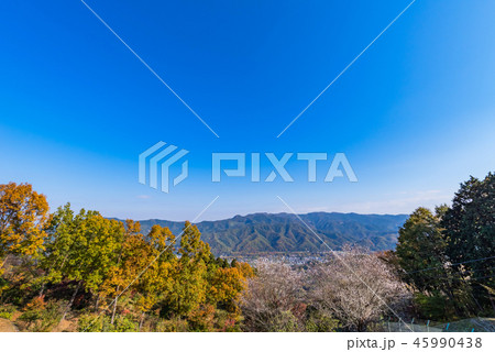 宝登山からの眺望 宝登山からの眺望 45990438