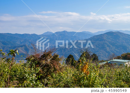 宝登山山頂からの眺望 宝登山山頂からの眺望 45990549