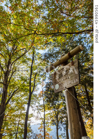 宝登山山頂の山頂標 宝登山山頂の山頂標 45990561