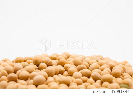 Yellow soy bean pattern group 45991346