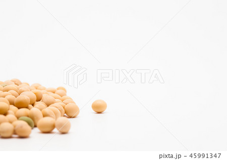 Yellow soy bean pattern group 45991347