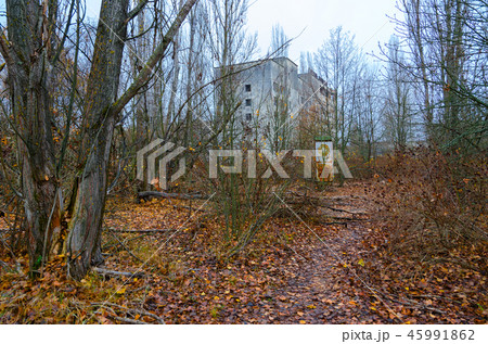 Thickets in center of abandoned ghost town Pripyat Thickets in center of abandoned ghost town Pripyat 45991862