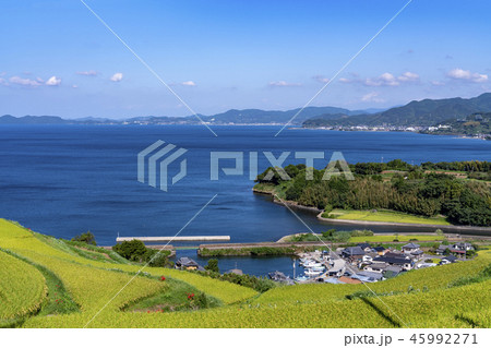 [長崎県]東彼杵の風景 45992271