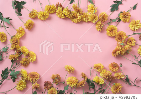 Golden-daisy flowers as border on pastel pink. Golden-daisy flowers as border on pastel pink. 45992705