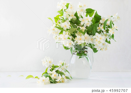 Beautiful bouquet of jasmine flowers in vase. Beautiful bouquet of jasmine flowers in vase. 45992707