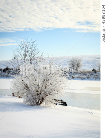 Winter scene in Central Kentucky 45993104
