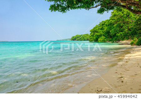 Beach - Espiritu Santo Beach - Espiritu Santo 45994042