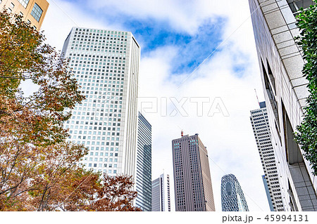 都市風景　東京都庁　【東京都】 45994131