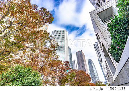 都市風景　東京都庁　【東京都】 45994133